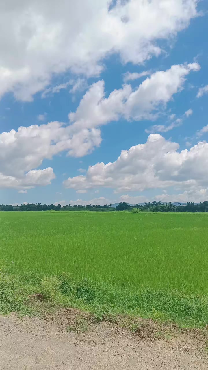 @Radha Poudel