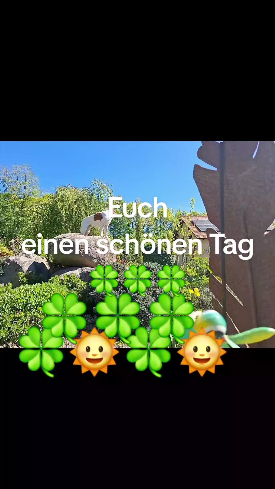@hildegardklingebiel