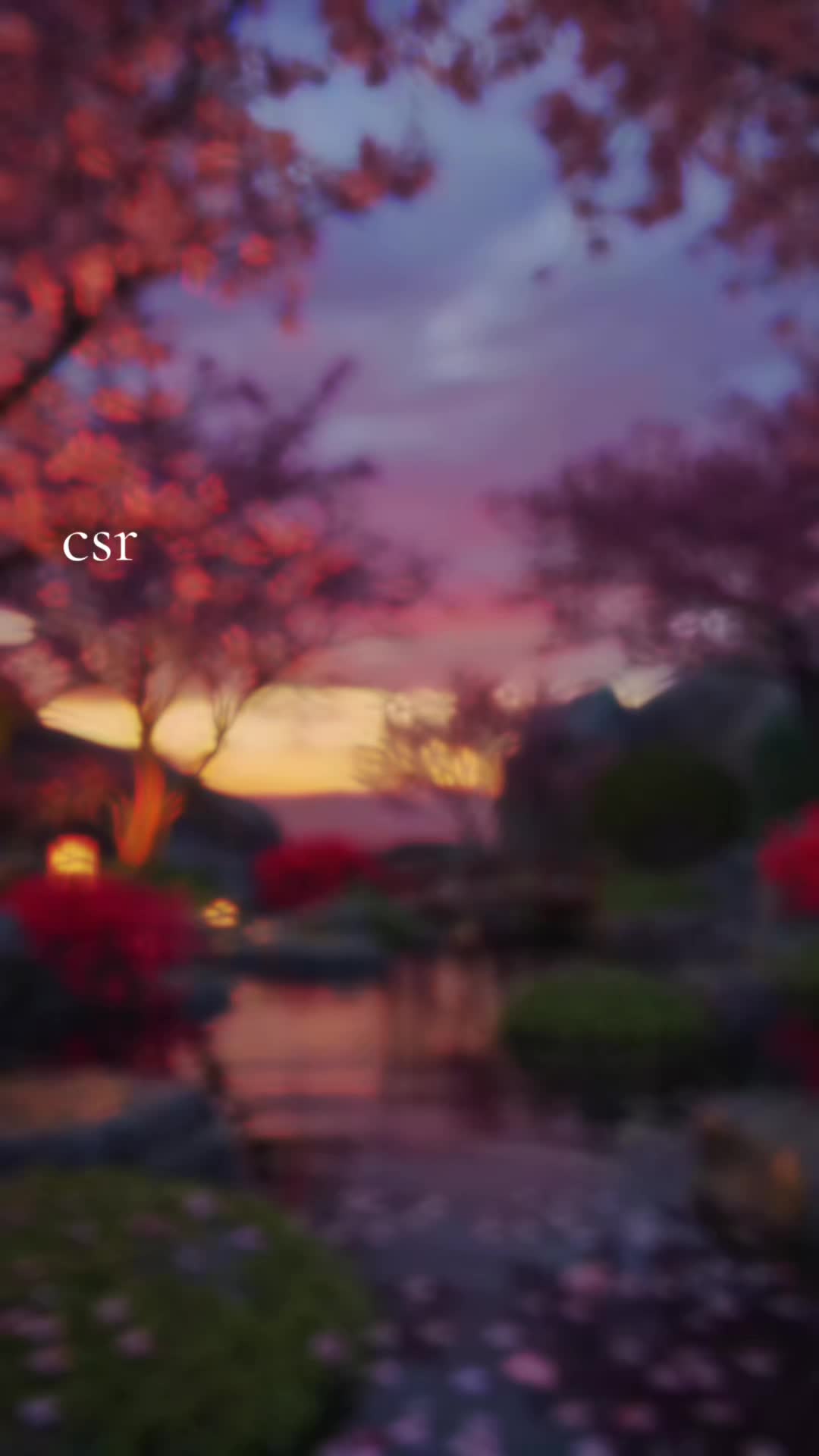 @56cleansr