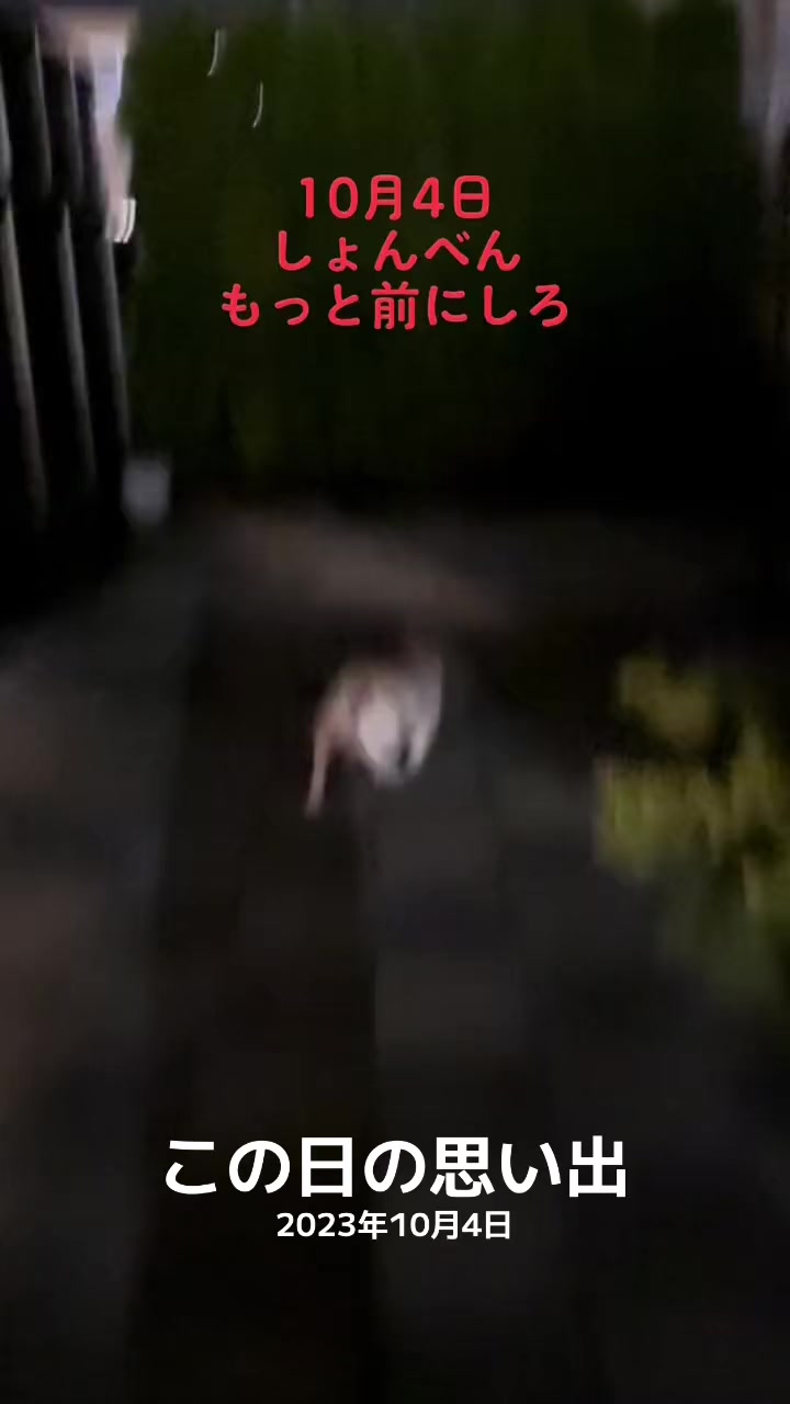 @ごん太