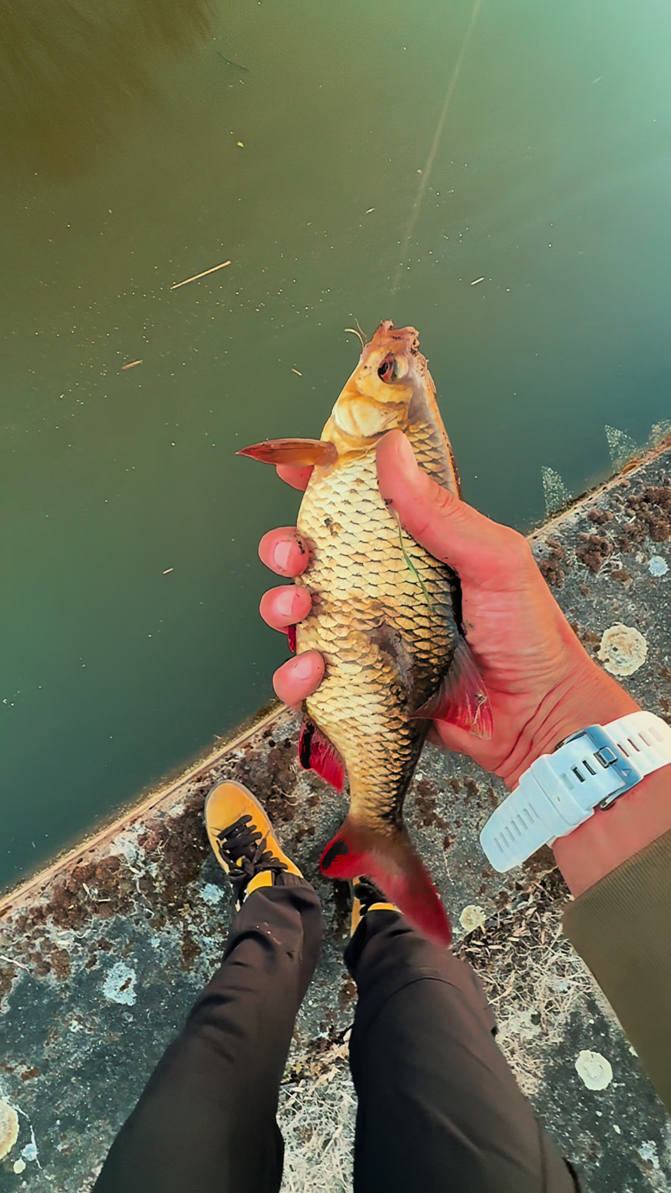 @robertmajewski.fishing
