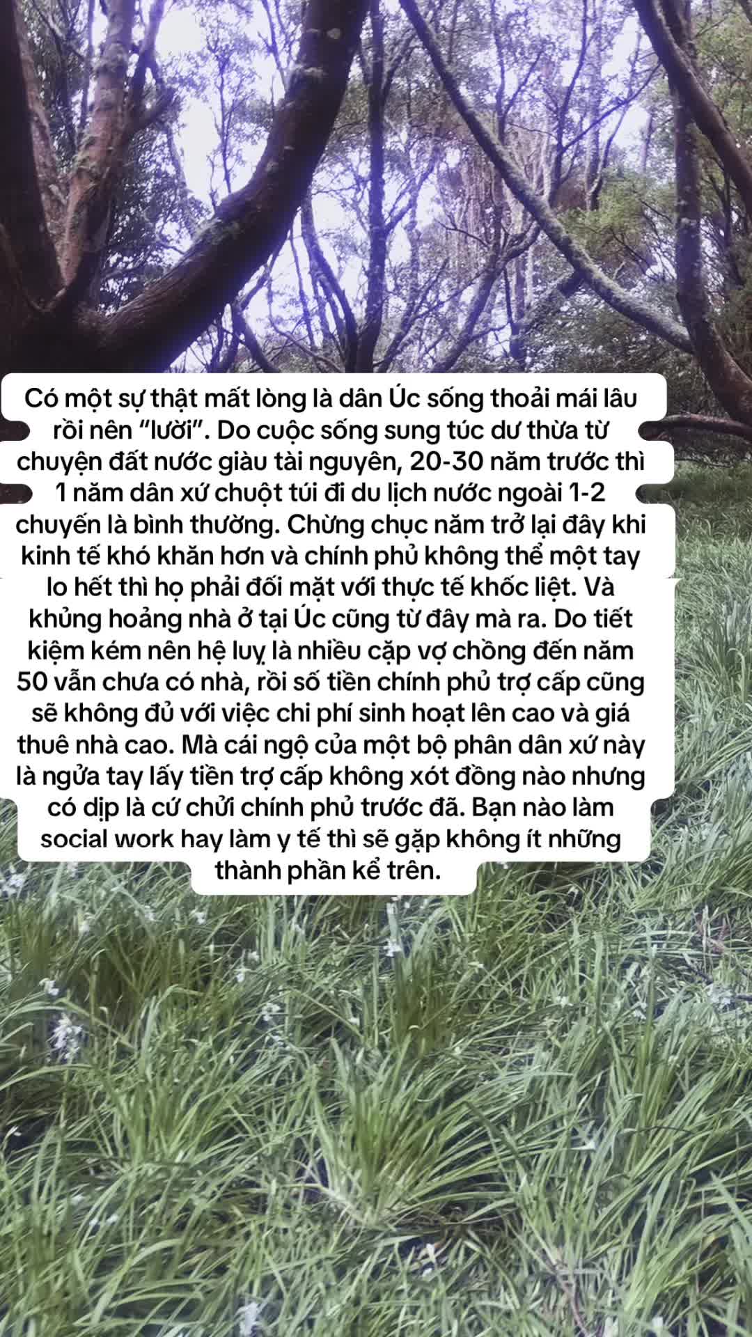 @🇻🇳👨⚕️in 🇦🇺 - Kyle Dang