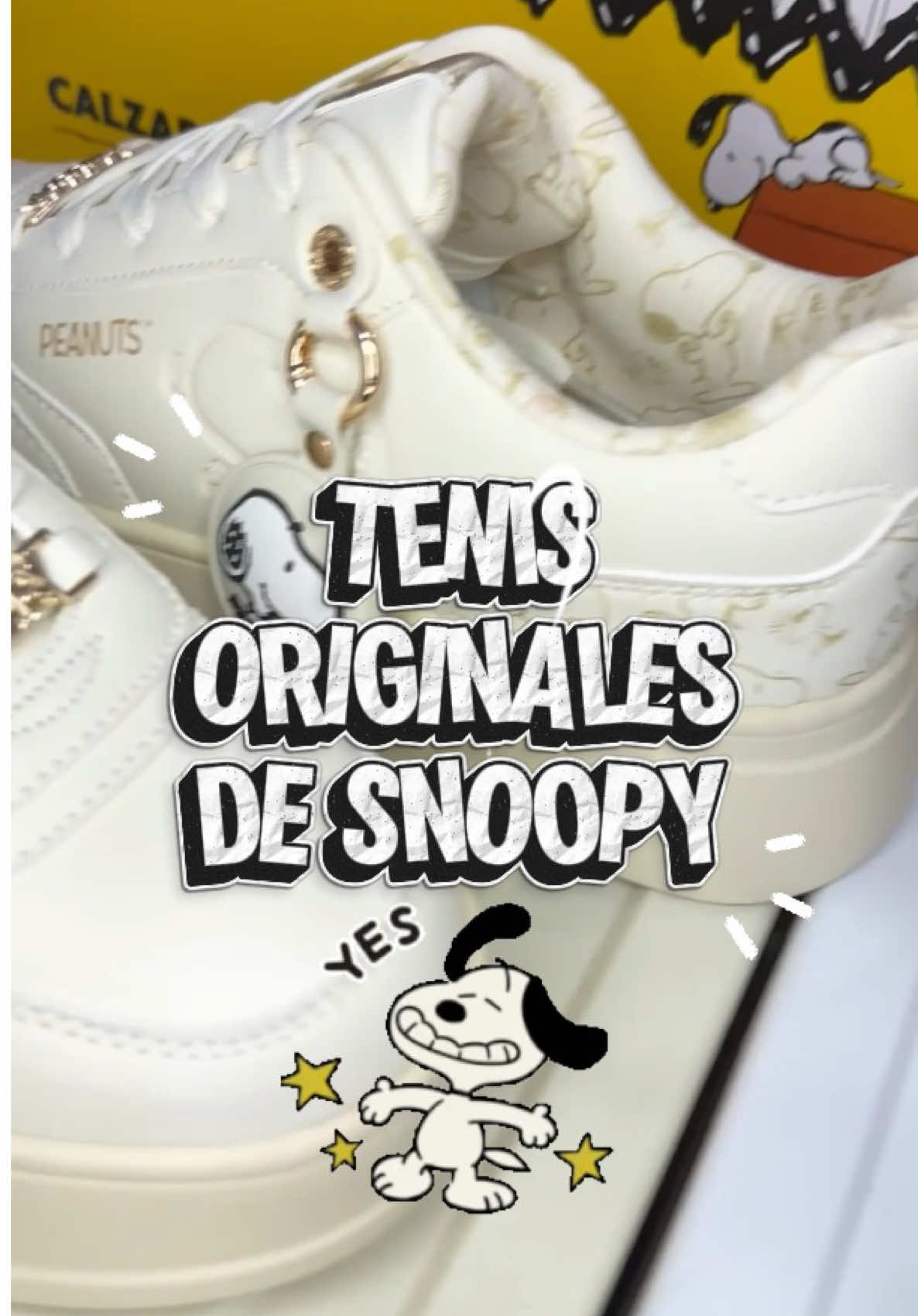 @Bolishop.lapaz