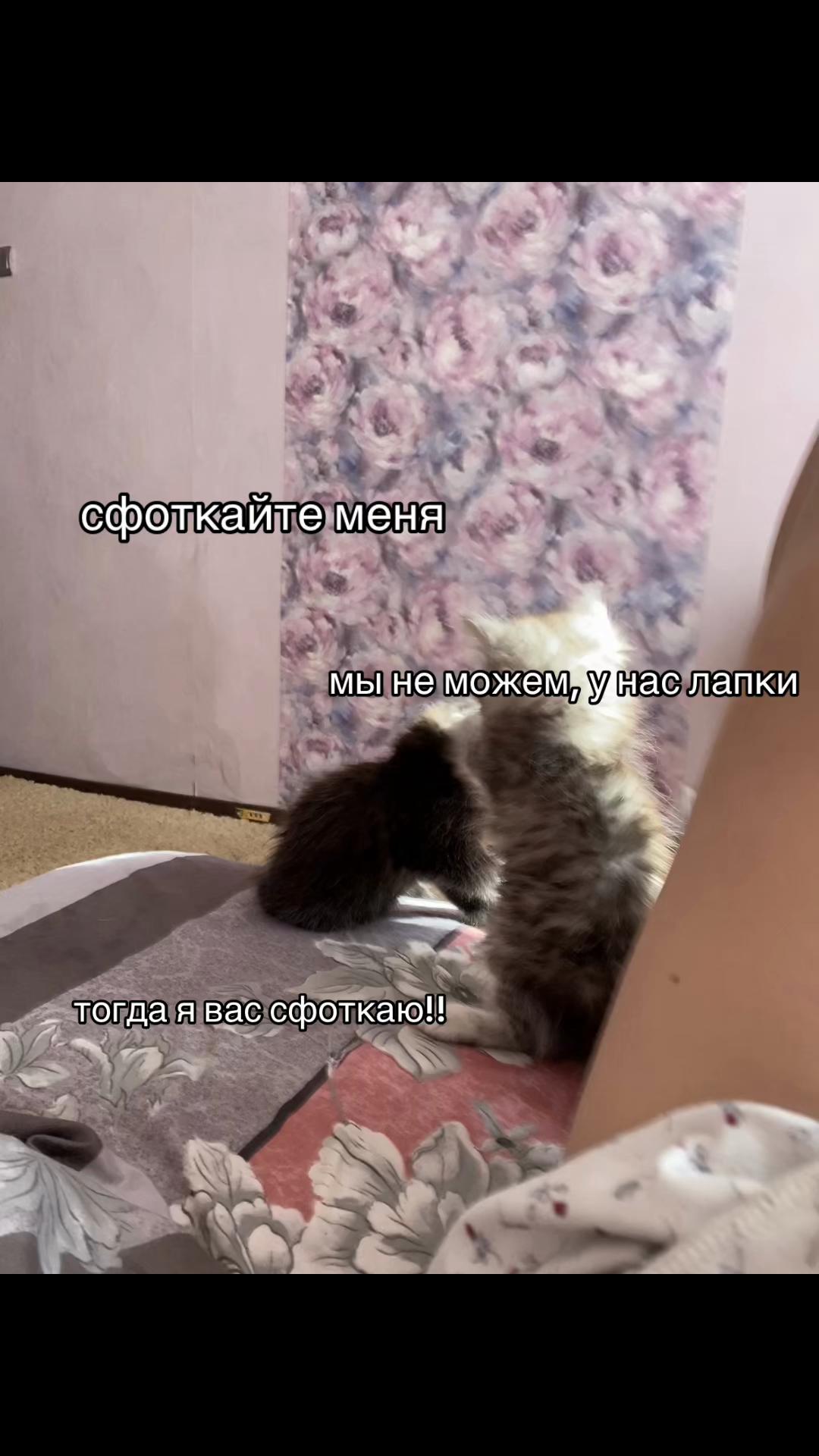 @ариша
