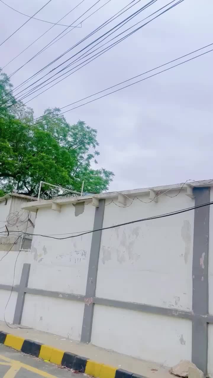 @sohailkhan8442