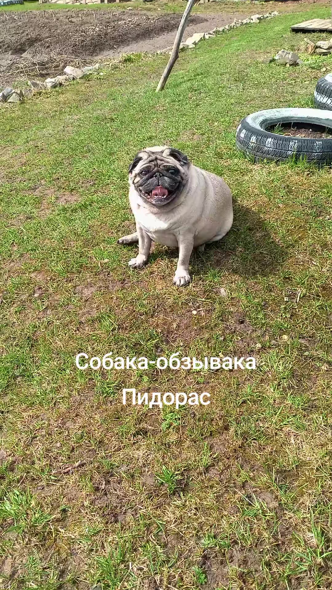 @tg: SamMops76
