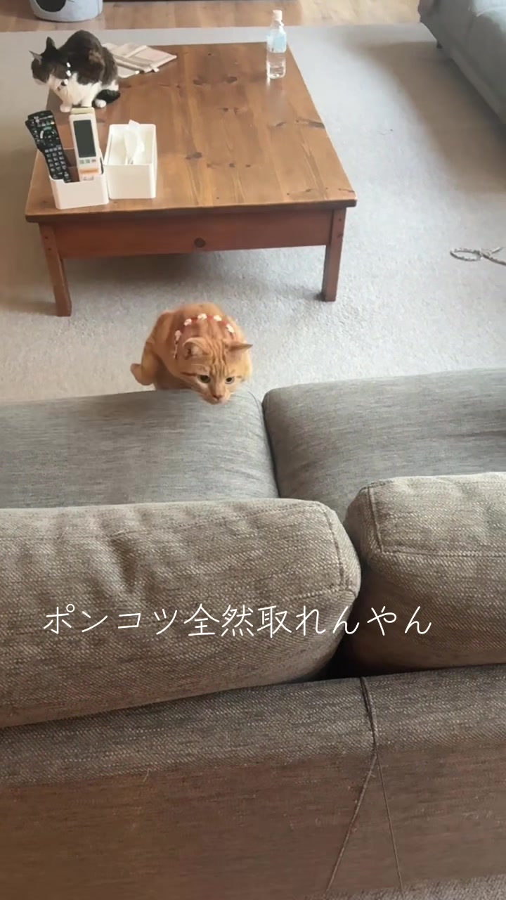 @さまむ〜