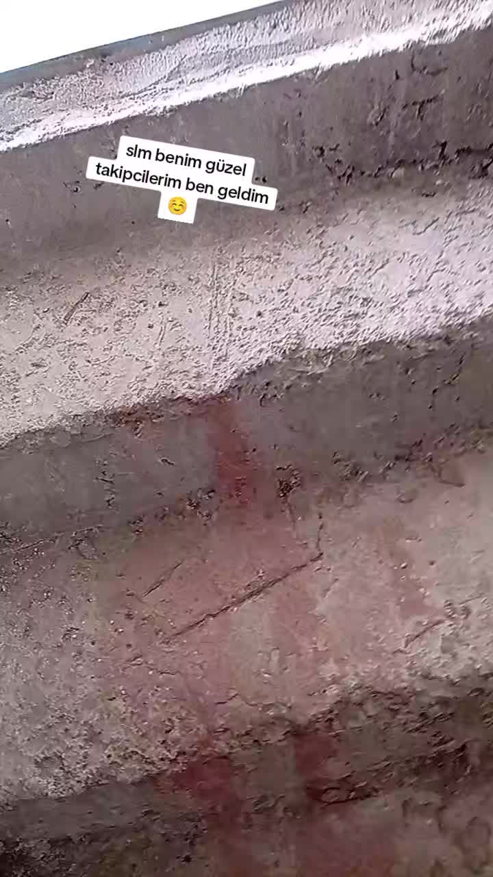 @Deryanın.yuvası