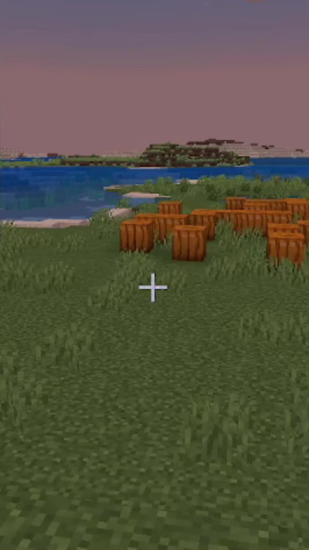 @Rthro