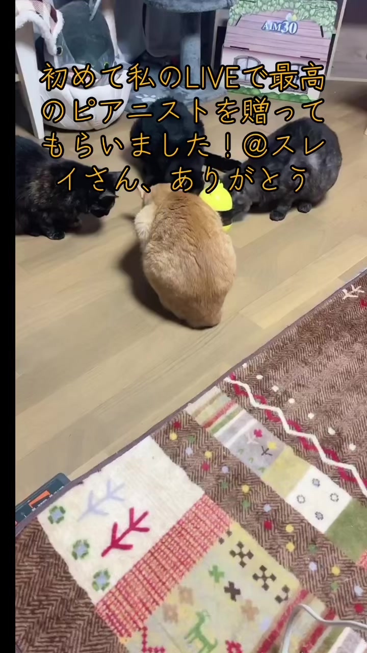 @かあこ