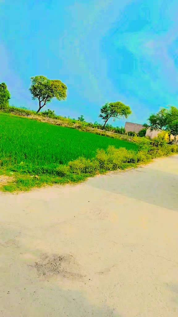 @Dr.Zubair786