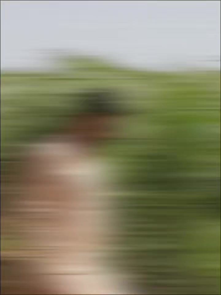 @𝔸𝐫𝐢𝔽ℕ𝐨𝐨ℝ 𝔸𝕗𝕣𝕚𝕕𝕚