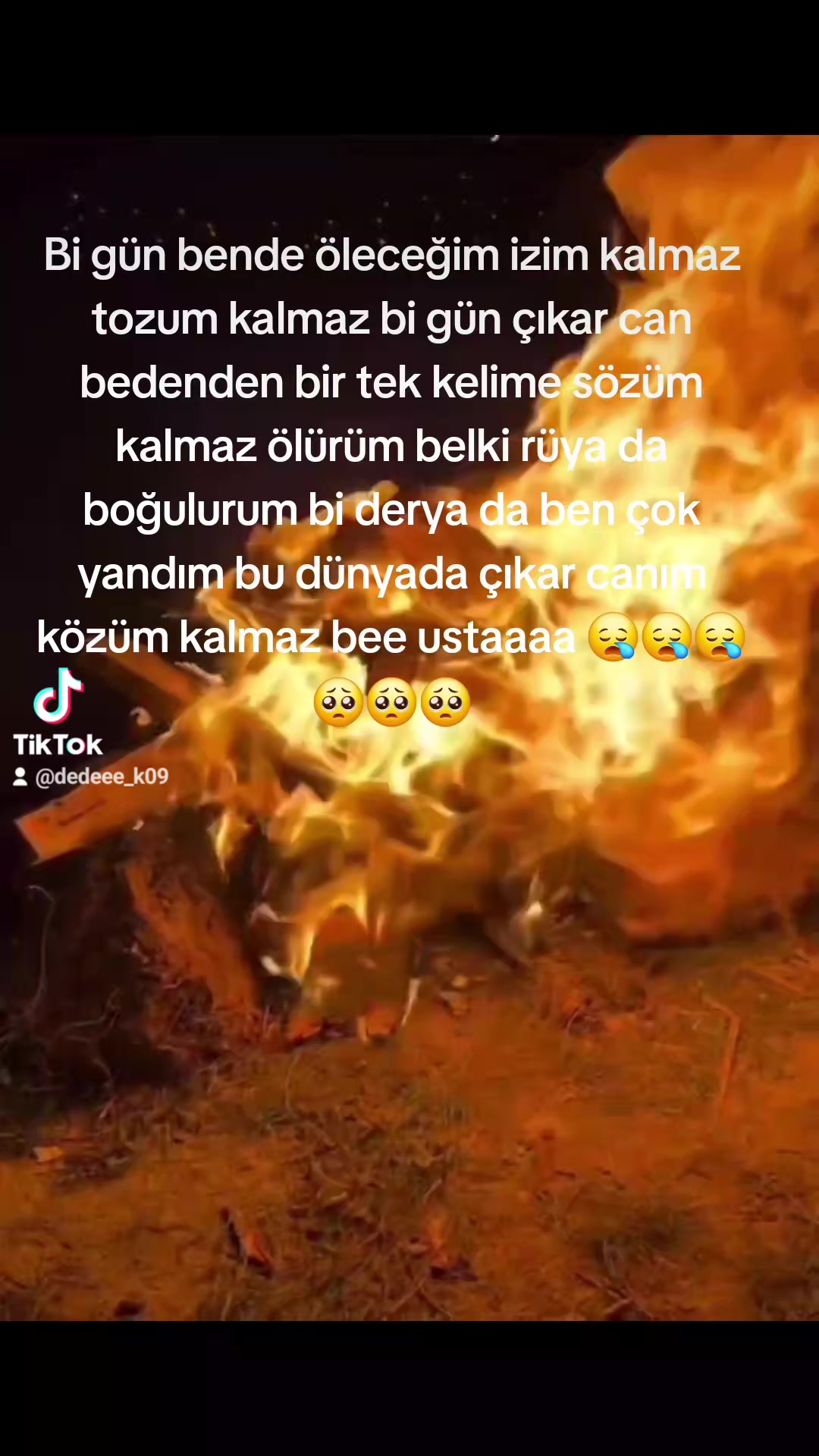 @⚜️wolf usta ⚜️