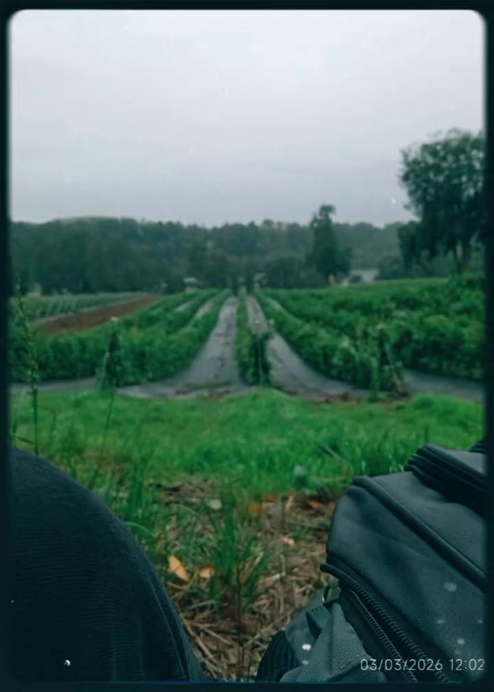 @mar🦋