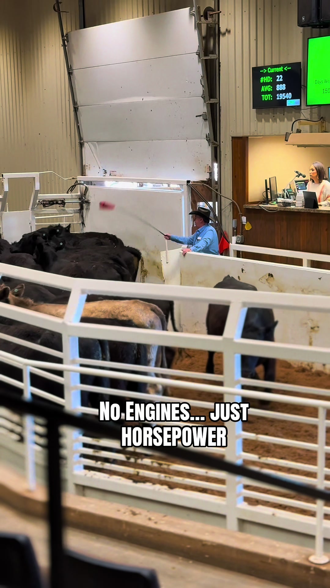 @OKC West Livestock Market