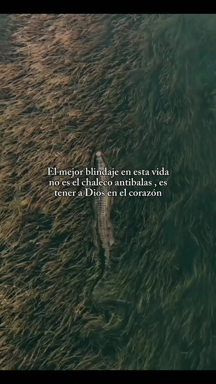 @Samuray ⚔️