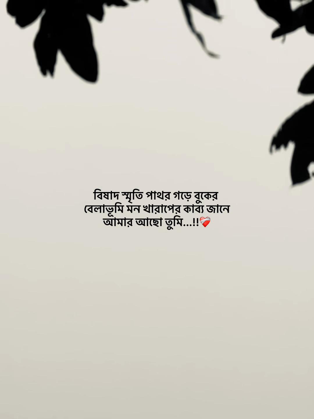 @Jahidul lslam 95
