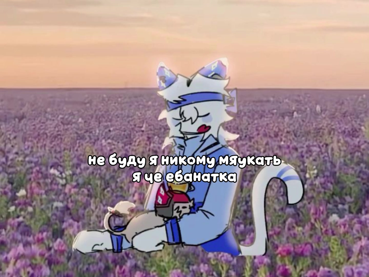 @🩶🩶