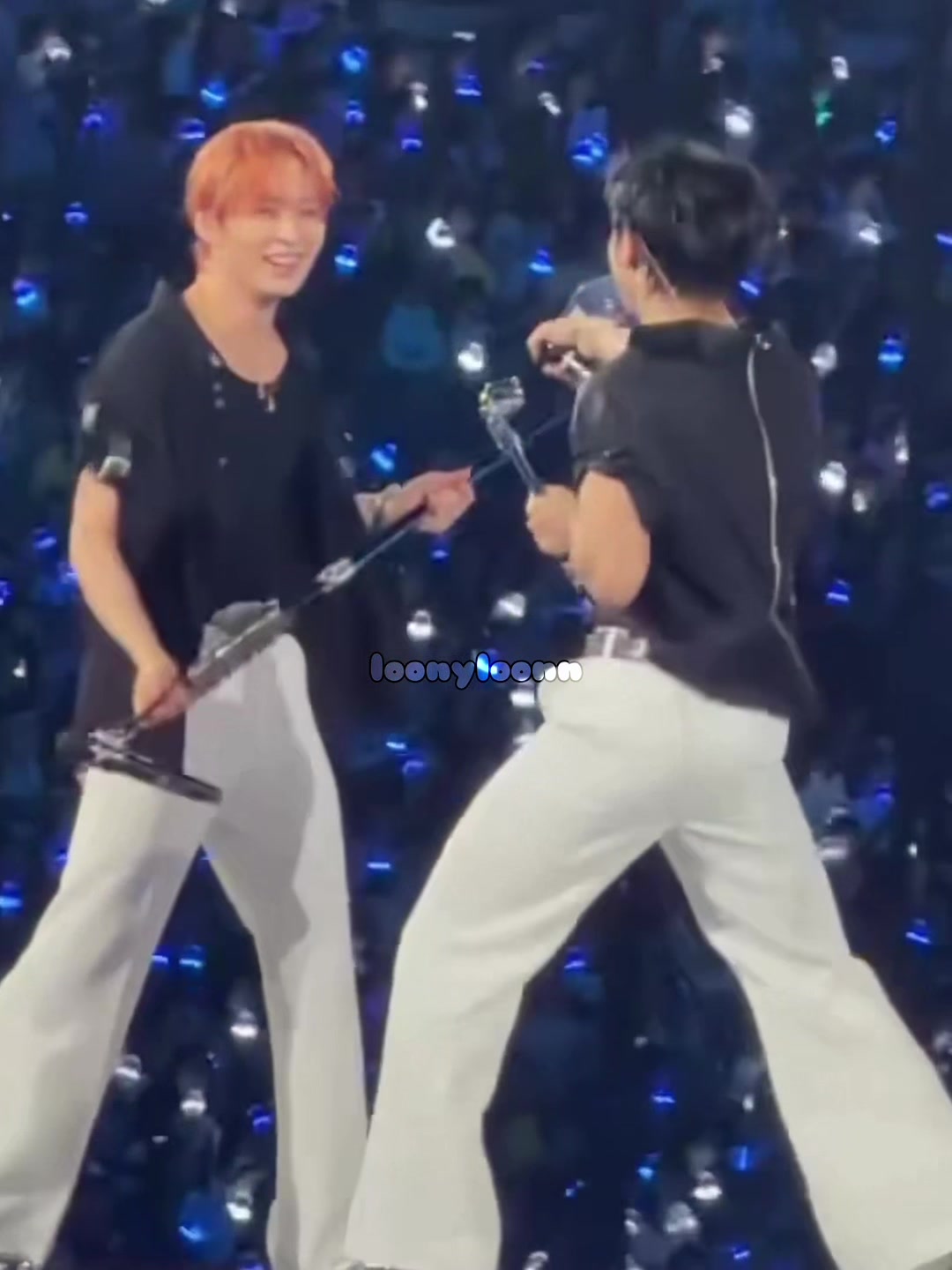 @loonyloonn