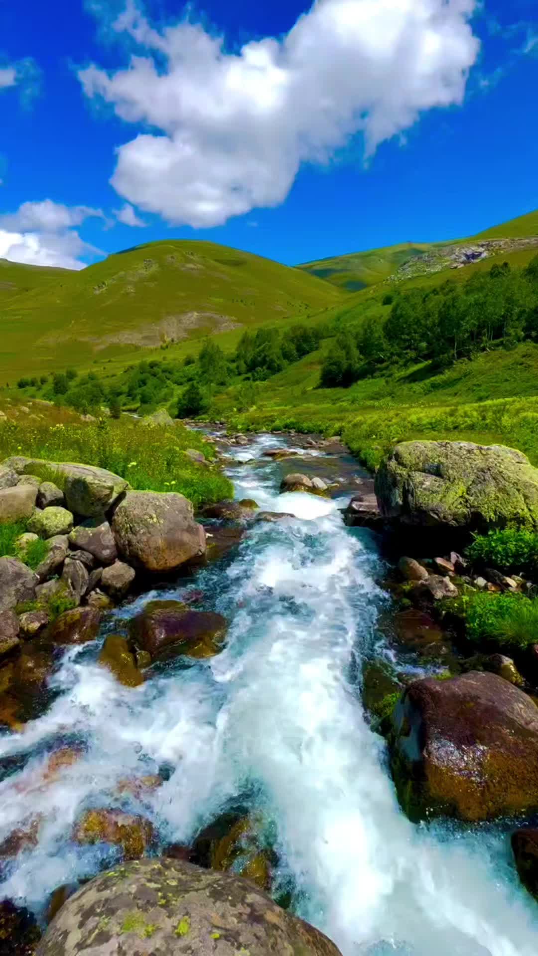 @yanlızAdam Almanya