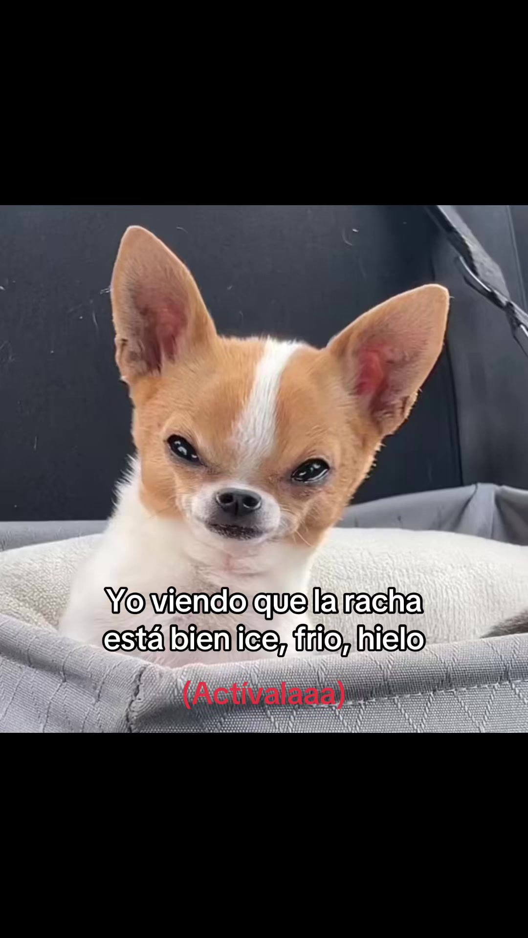 @saulburgosp2.0
