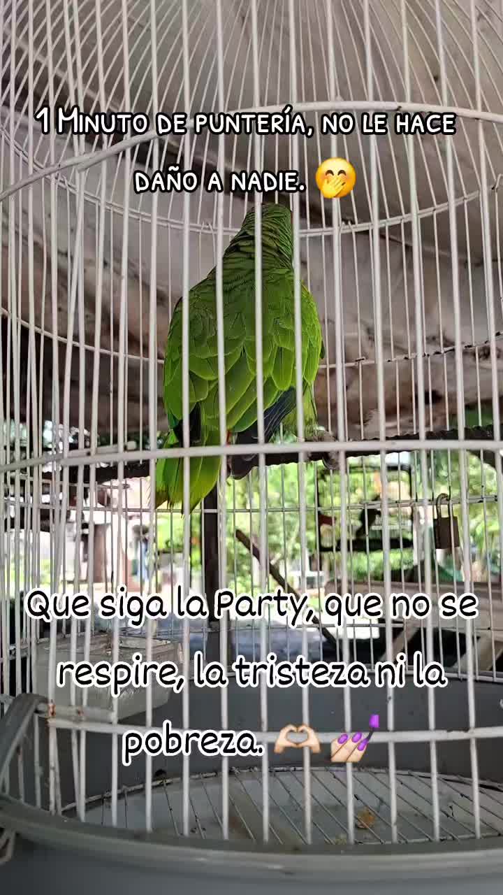 @Benny