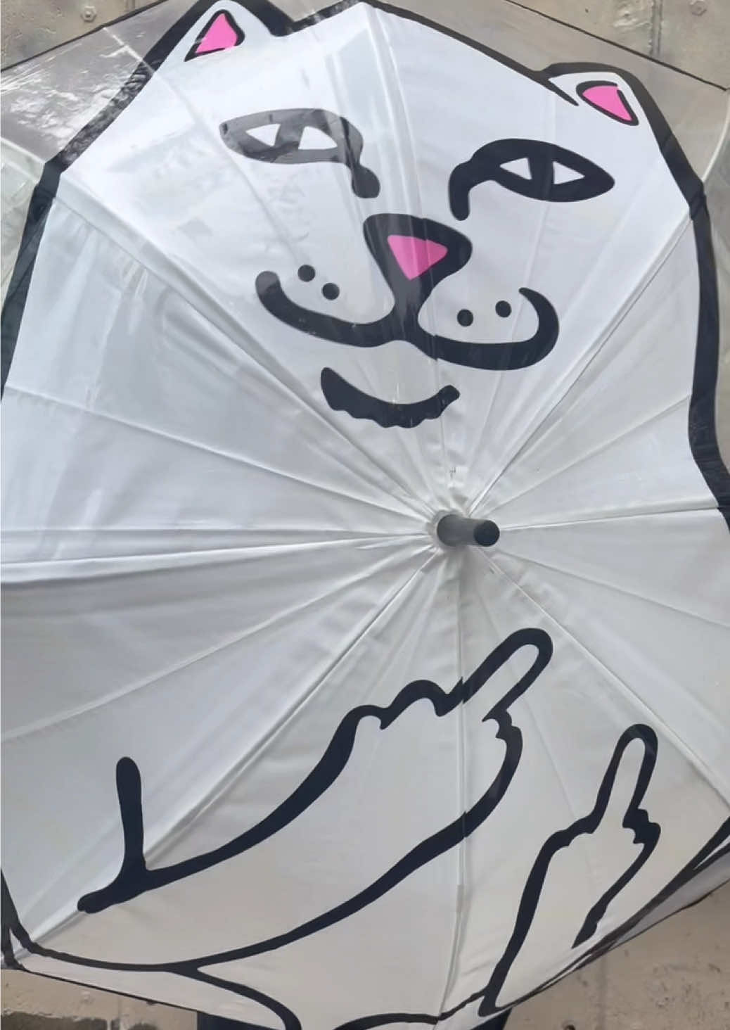 @RIPNDIP 東京