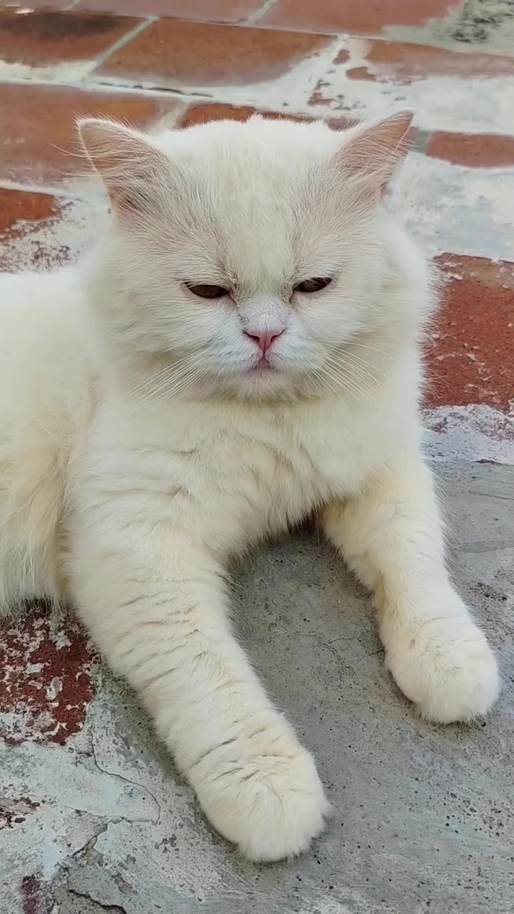 @பேப்பர் ஐடி 248 🌹1