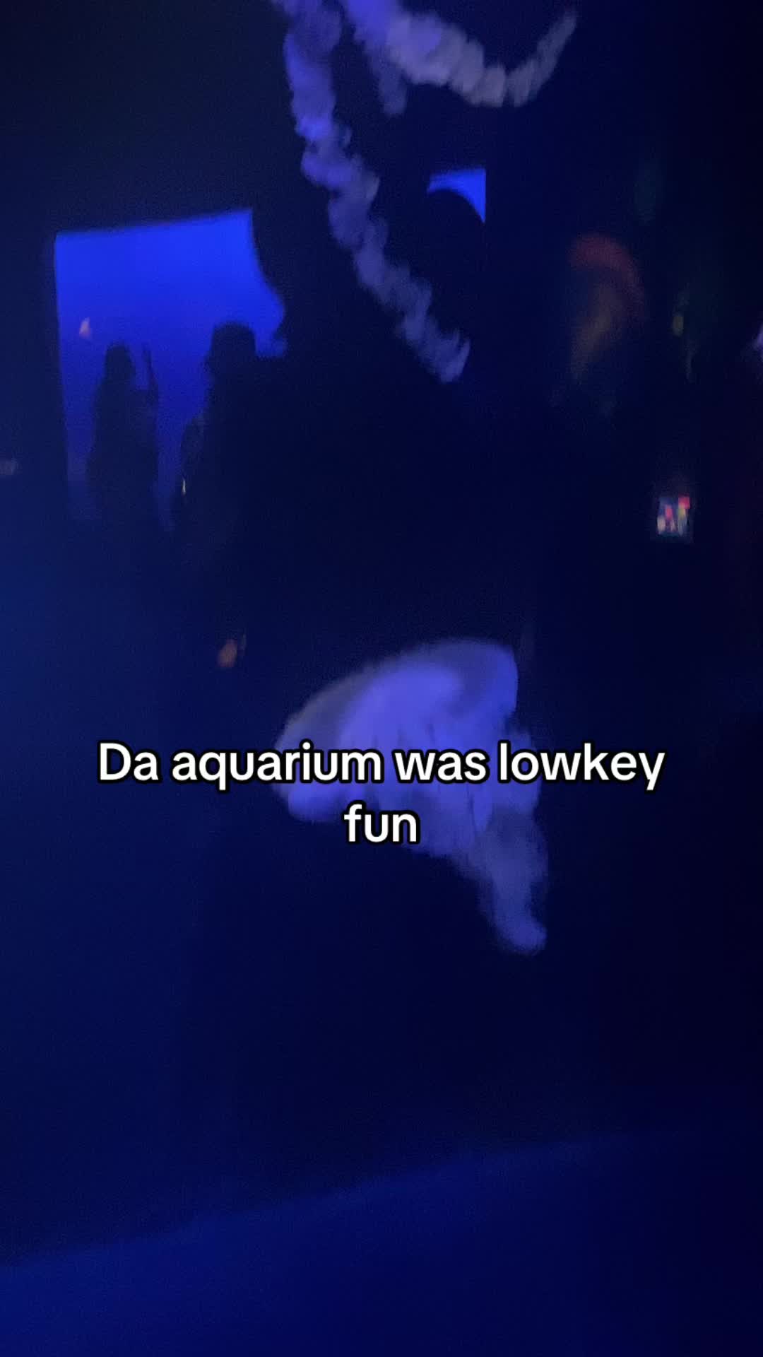 @qlo.777