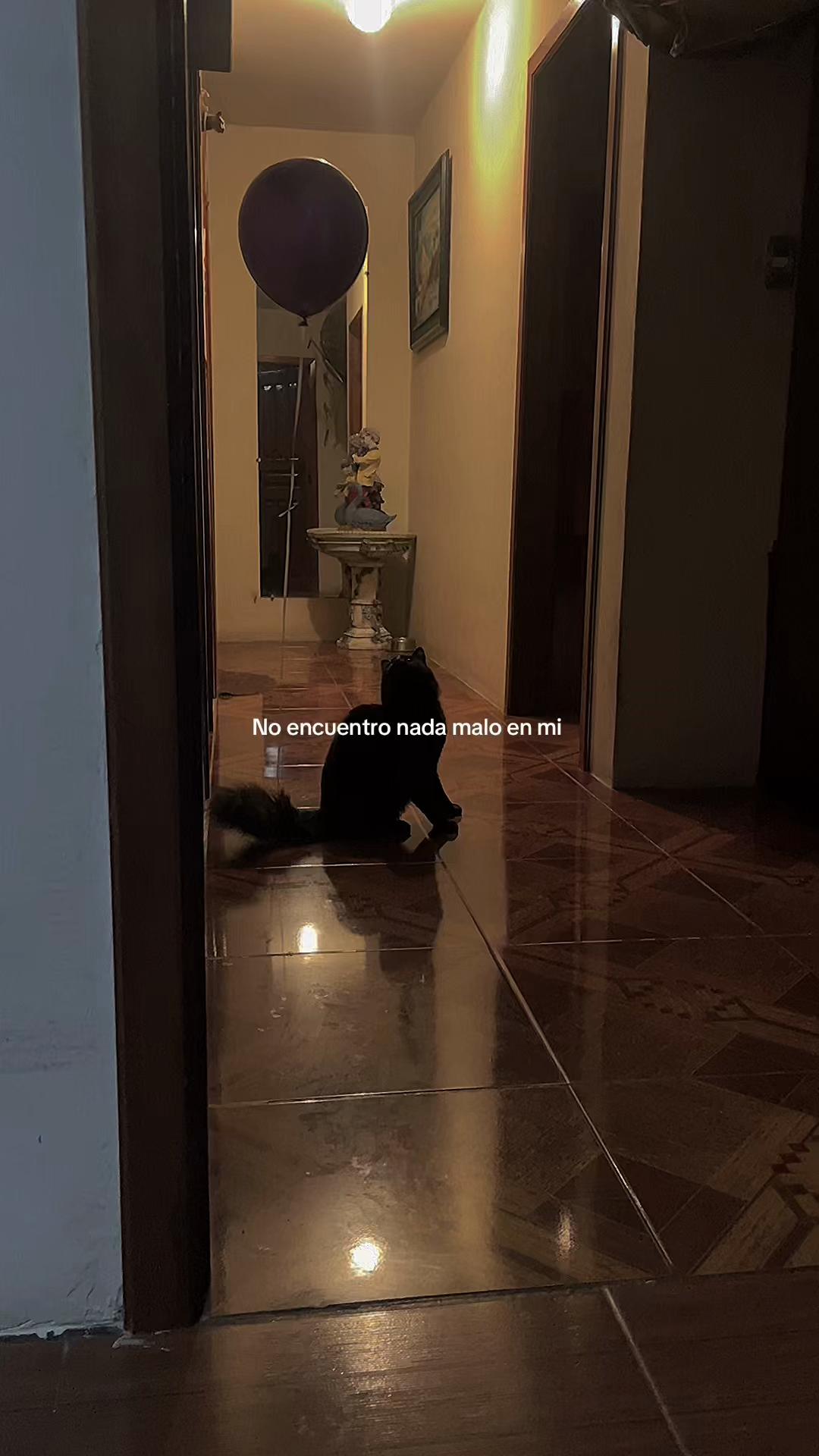 @Abel 🧃