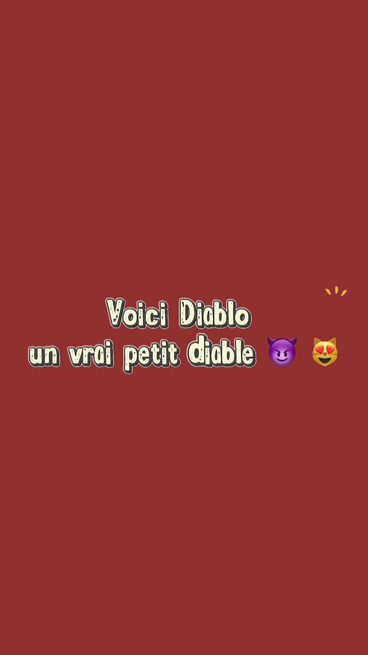 @Maelli