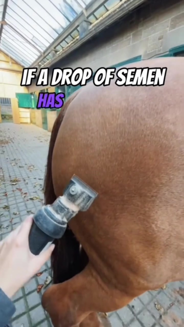@MAD_DAD