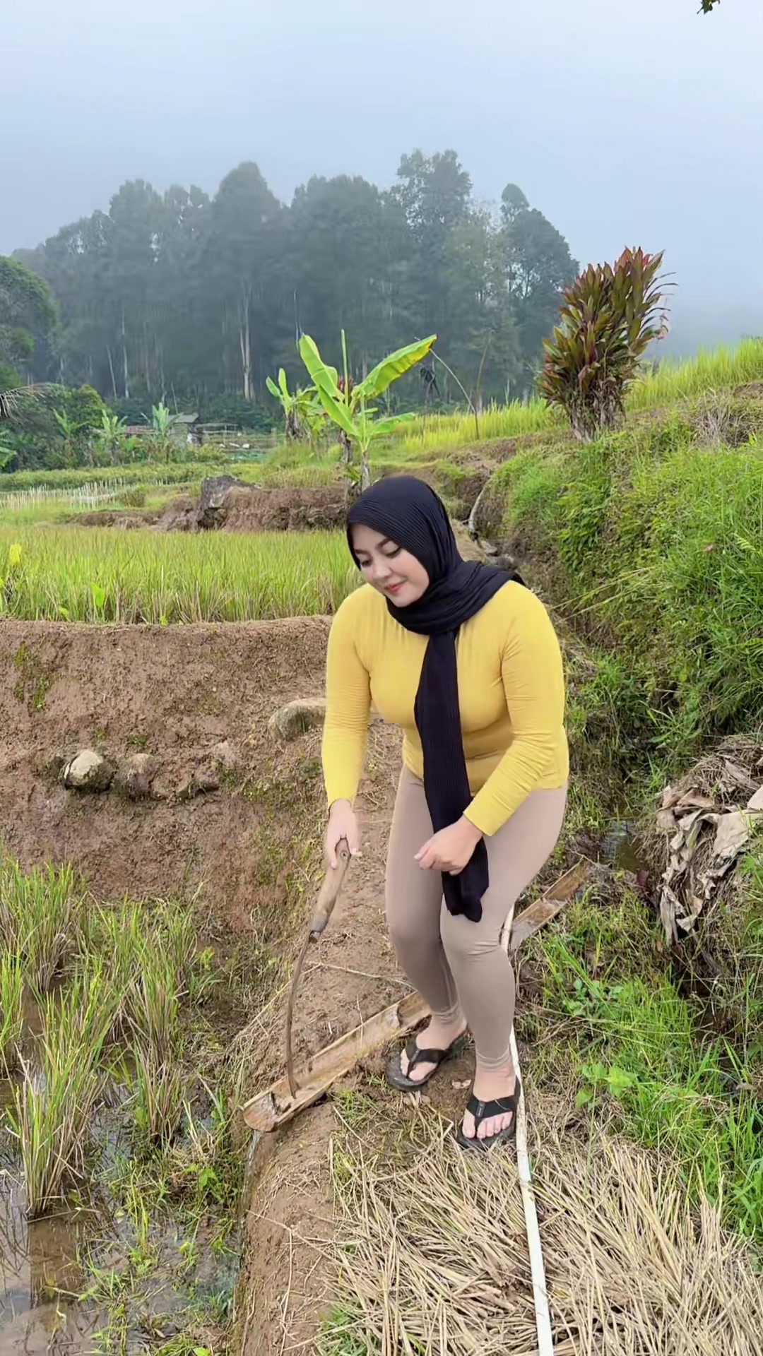 @Sheila citra Anisyah