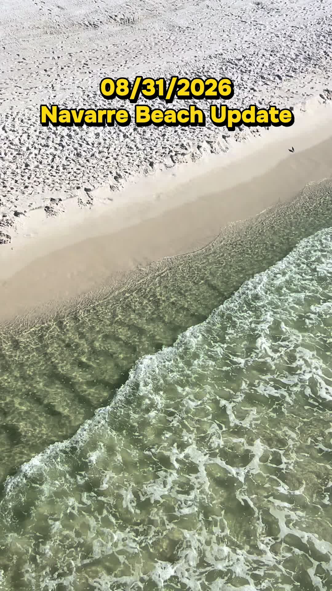 @Carley on the Coast🌴