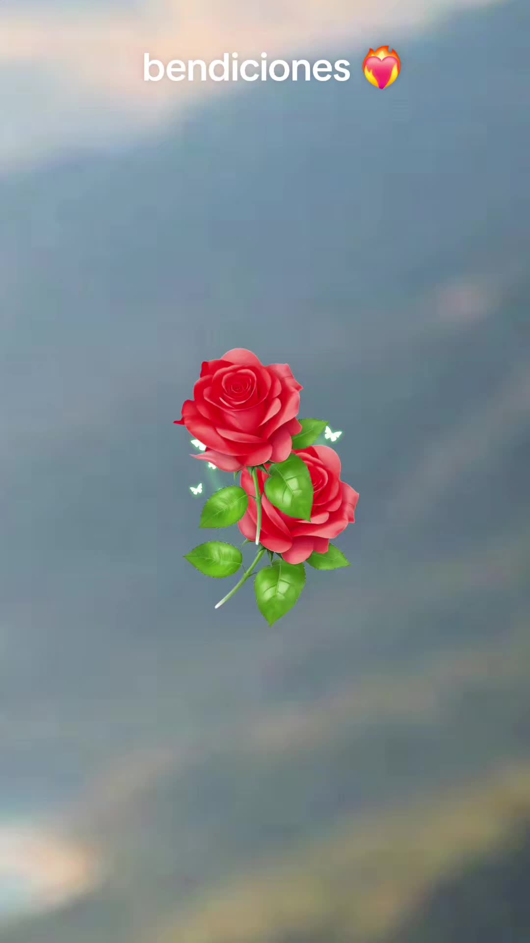 @alfonsolpz8074