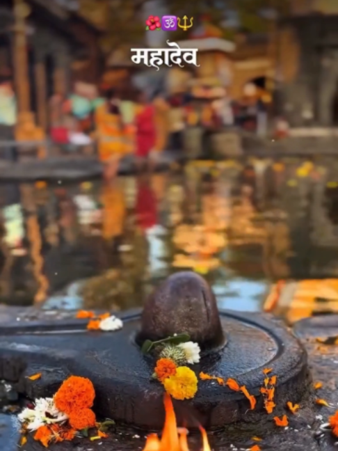 @➳🔱शिव_अनंत ❤️