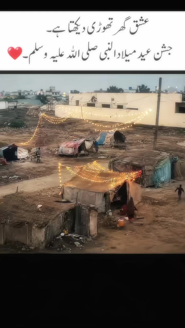 @saleemniazi519