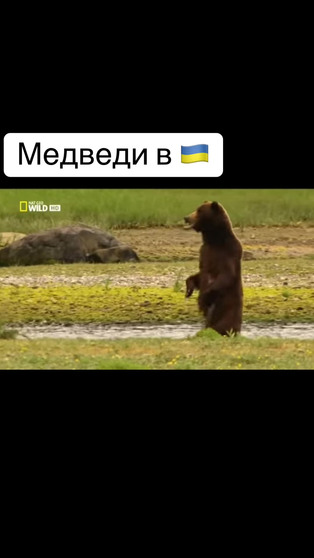 @Ukraine_russia_mem
