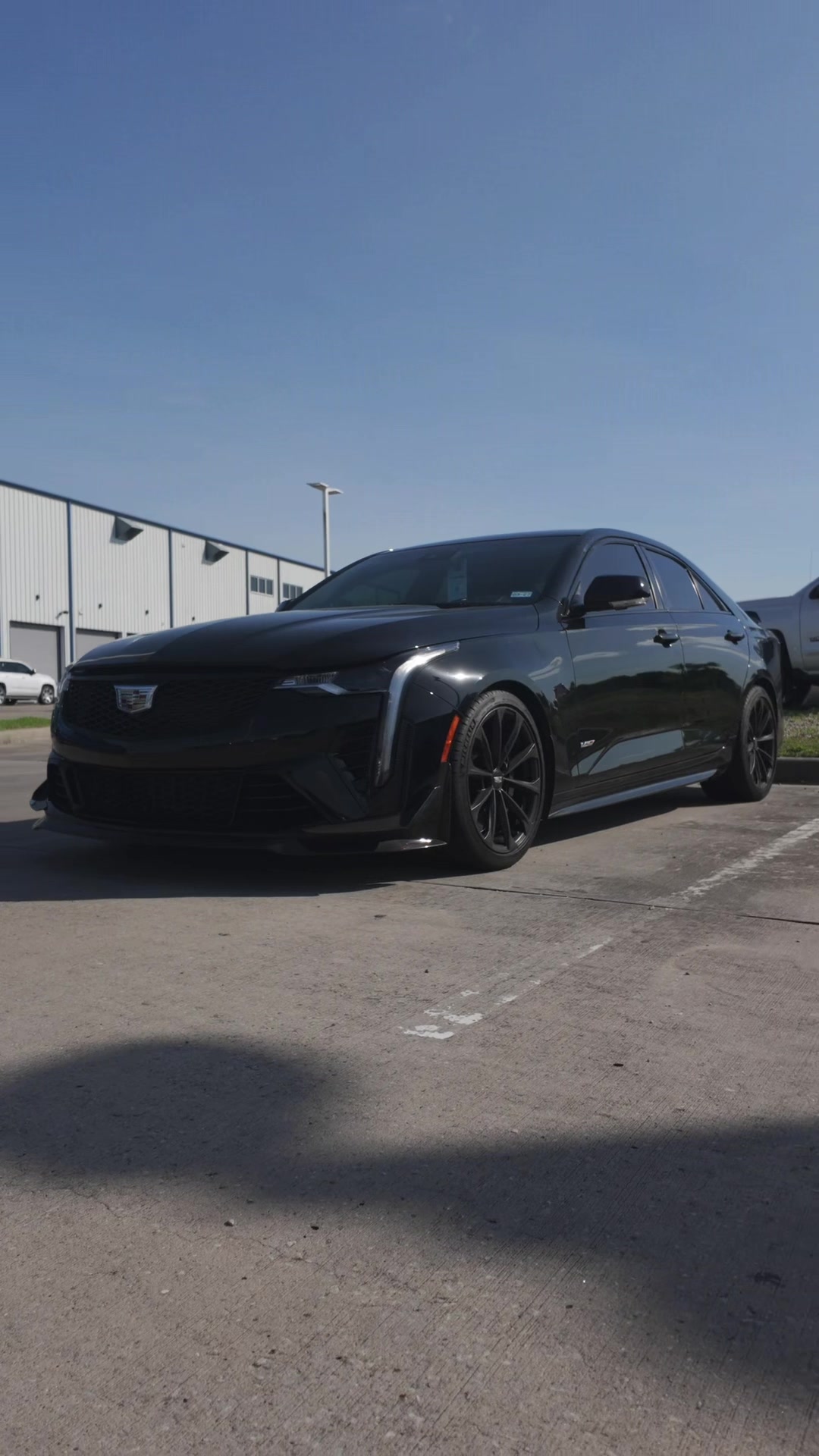 @Cadillac from Ty