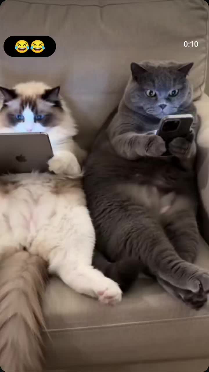 @MARMALAT94