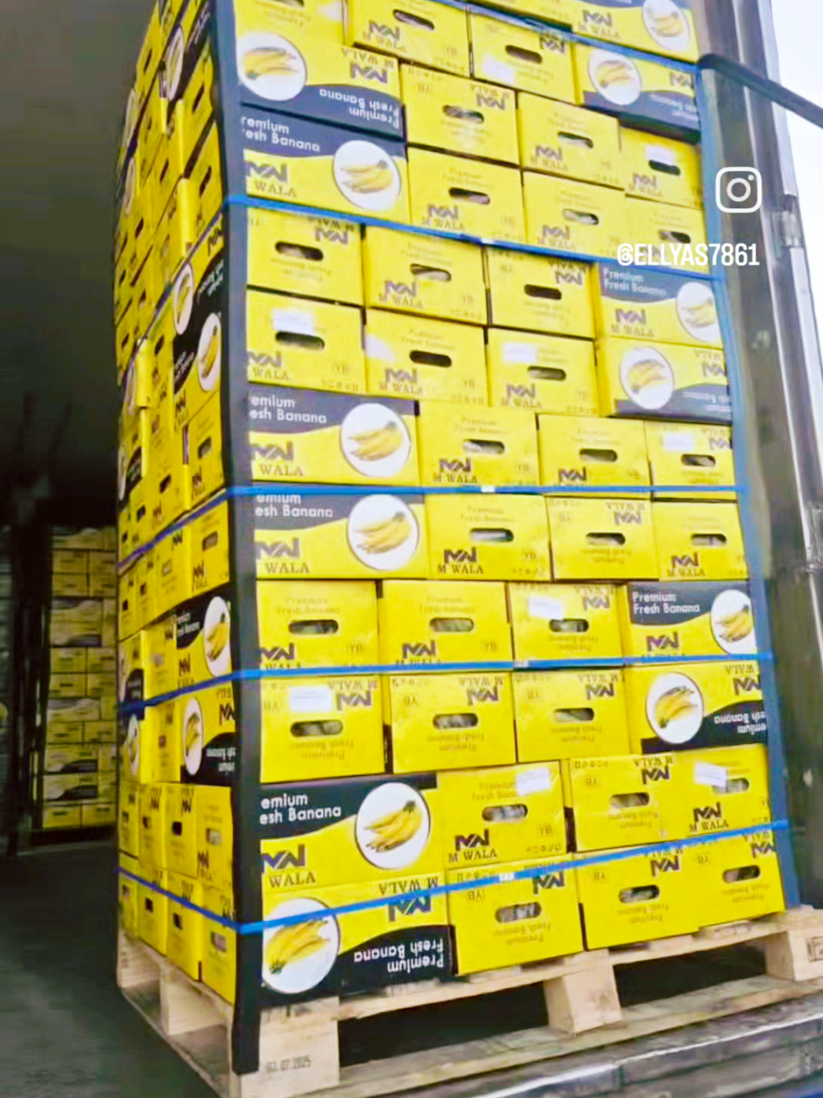 @AAlaM Exporting