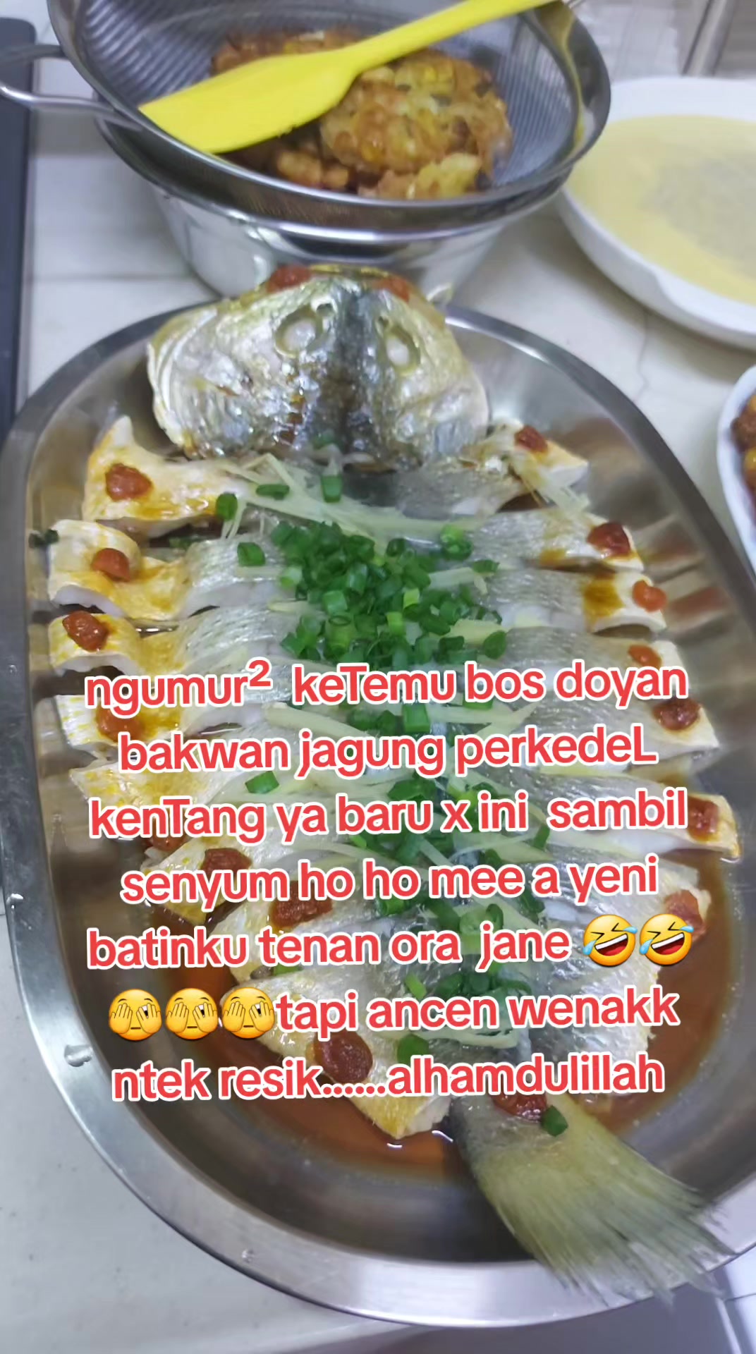 @ALIIN1717