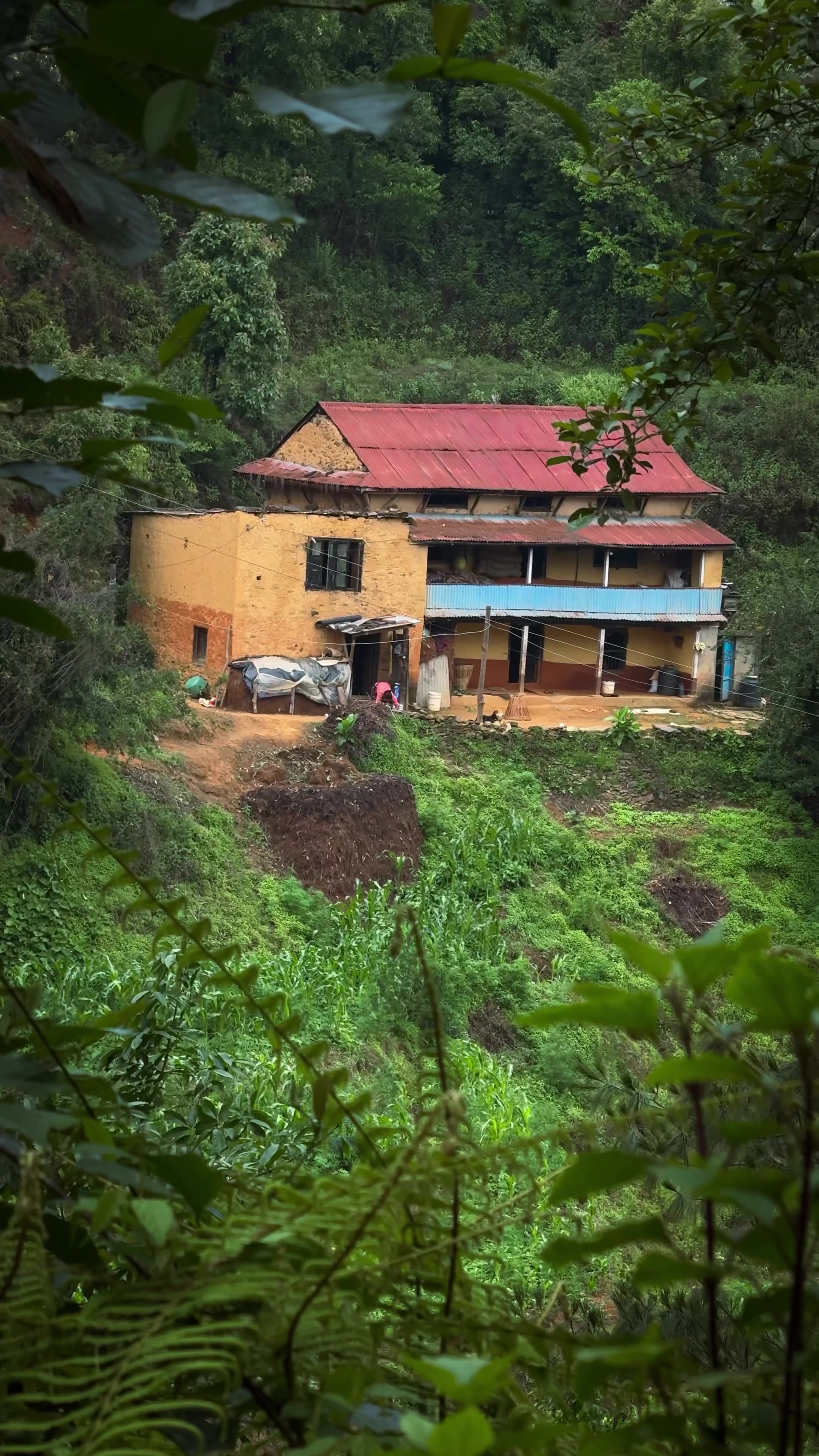@Sudarshan Neupane
