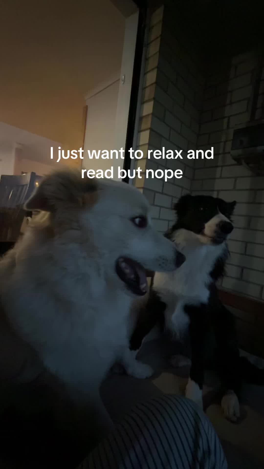 @Han