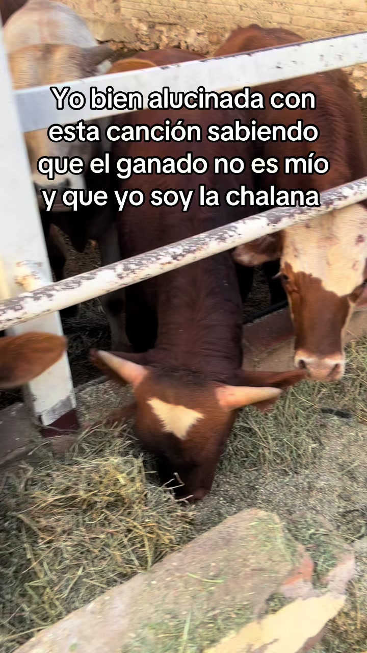 @claritacostilla36
