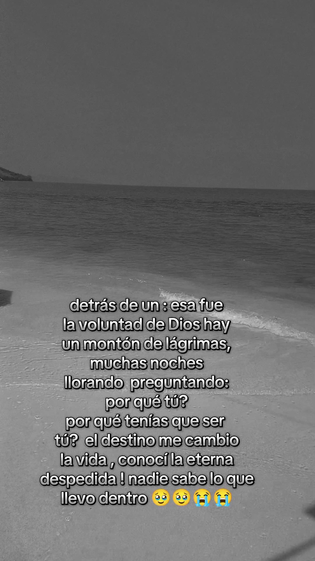 @Mergevm ♥️