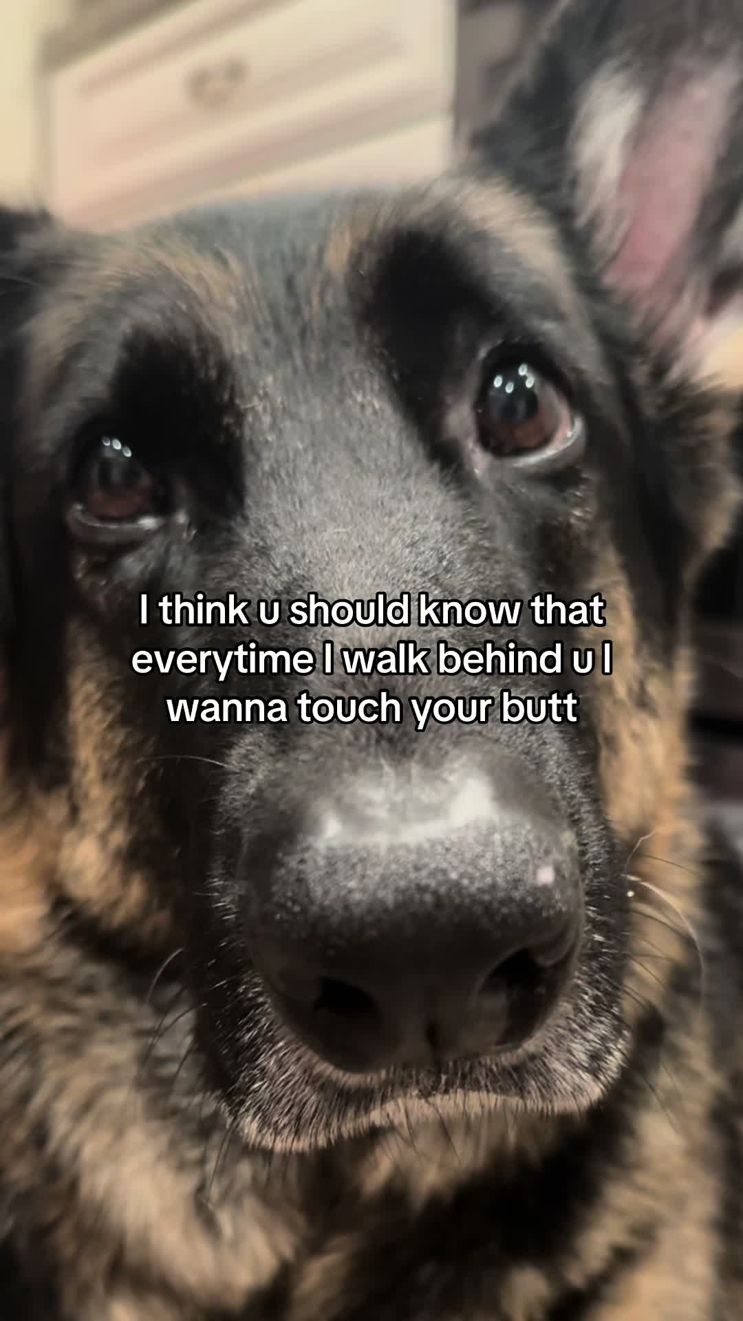 @Bhris