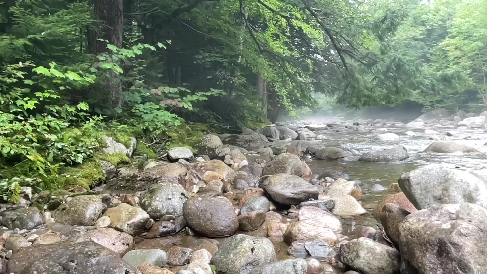 @𝓒𝓪𝓻𝓸𝓵𝓲𝓷𝓪 𝓡