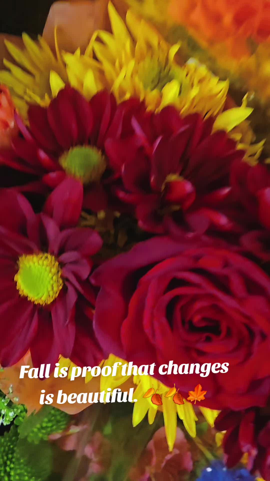 @Simmysimpersaud