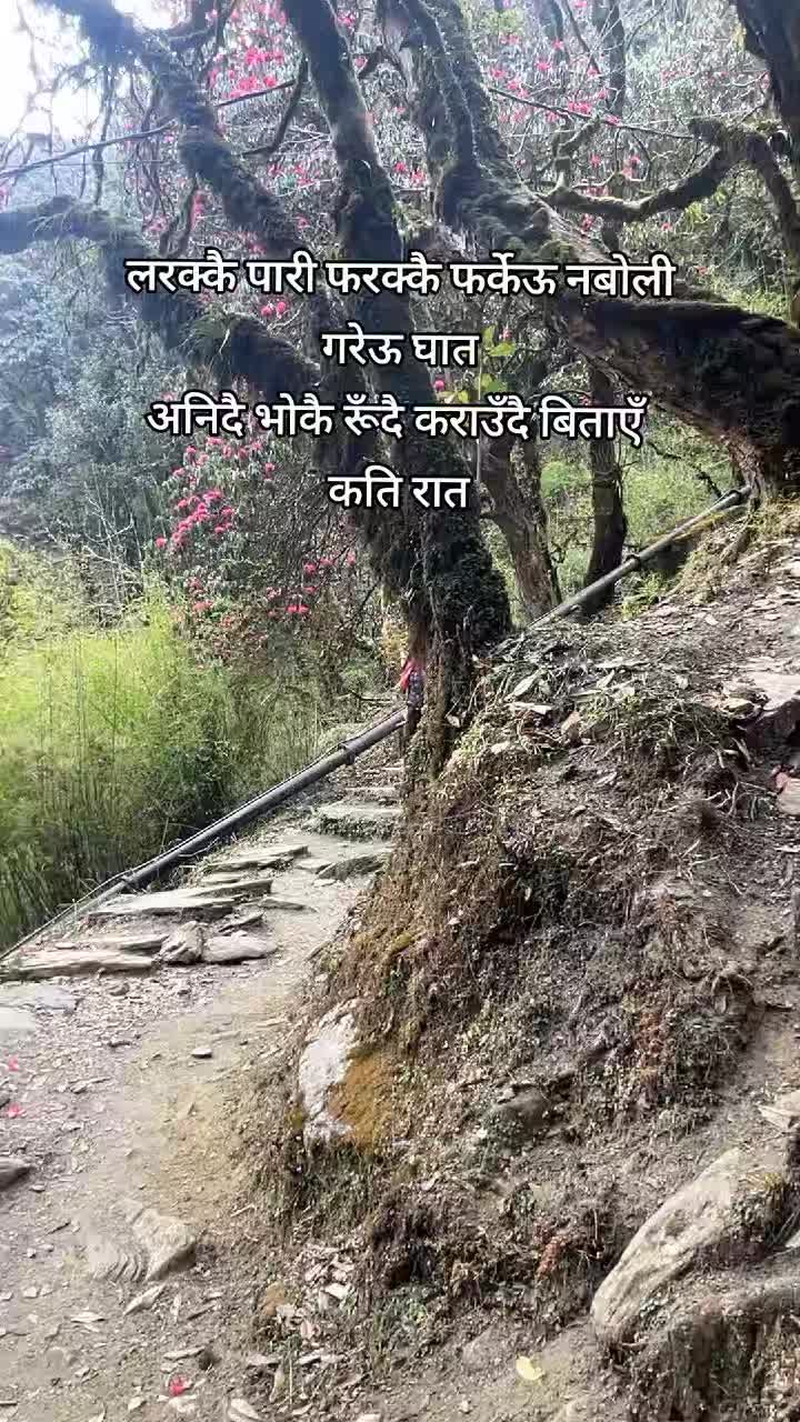 @Shashi Panta